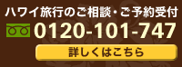 �n���C���s�̂����k�E���\��󂯕t���F0120-101-747