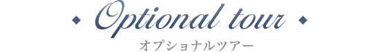 Optional tour オプショナルツアー