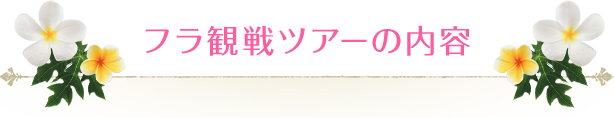 フラ観戦ツアーの内容