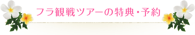 フラ観戦ツアーの特典・予約