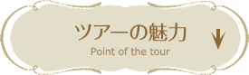 ツアーの魅力 Point of the tour