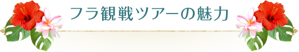 フラ観戦ツアーの魅力