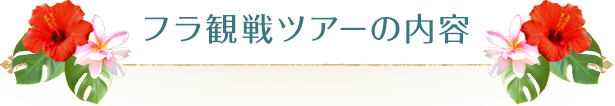 フラ観戦ツアーの内容