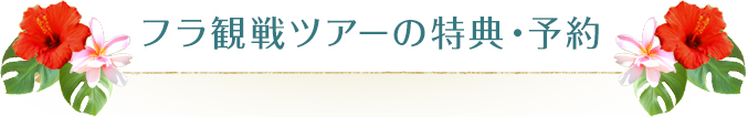 フラ観戦ツアーの特典・予約
