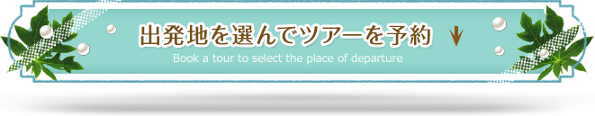 出発地を選んでツアーを予約 Book a tour to select the place of depature