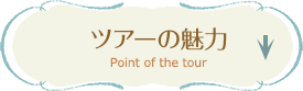 ツアーの魅力 Point of the tour