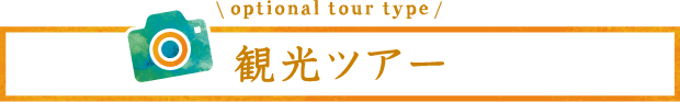 optional tour type 観光ツアー