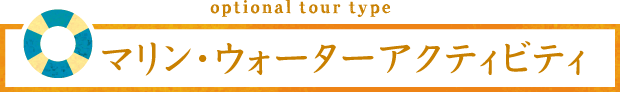 optional tour type マリン・ウォーターアクティビティ