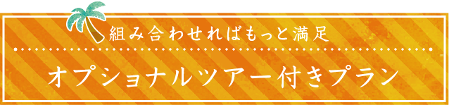 組み合わせればもっと満足 オプショナルツアー付きプラン