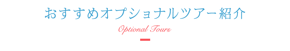 おすすめオプショナルツアー紹介 Optional Tours