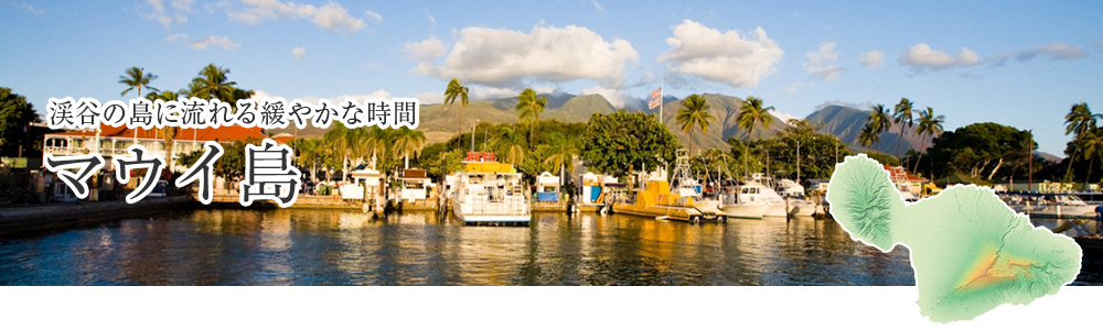 島図鑑 マウイ島 | ハワイ旅行の専門店ファーストワイズ