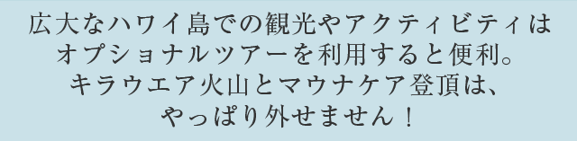 定番の市内観光や島内周遊をはじめ、ハイキング、ビーチヨガ、マッサージなど幅広いラインナップ！