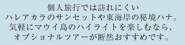 個人旅行では訪れにくいハレアカラのサンセットや東海岸の秘境ハナ。気軽にマウイ島のハイライトを楽しむなら、オプショナルツアーが断然おすすめです。