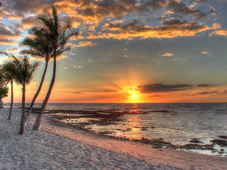 今週の新着 海辺のロマンチックディナー付き ハワイ島の癒し旅 ハワイ旅行 ツアー専門店 ファーストワイズ