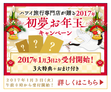 初夢2017ティザー336×280