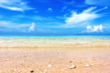 ハワイらしい景色を楽しみたい 海の見える部屋 無料アップグレード ディナー券 1回分 付プラン ハワイ旅行 ツアー専門店 ファーストワイズ
