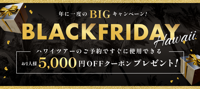 Black Friday Hawaii【12月4日(木) 15時まで】