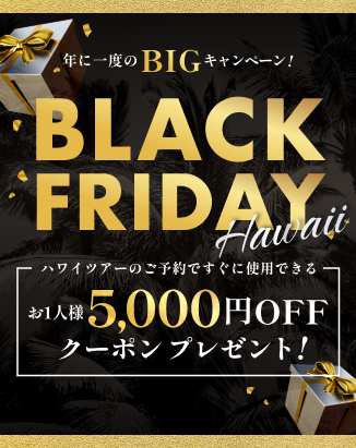 Black Friday Hawaii【12月4日(木) 15時まで】