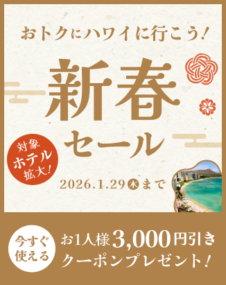 新春セール【1月29日 (木) 15時まで】