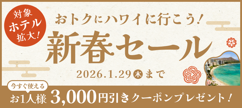 新春セール【1月29日 (木) 15時まで】
