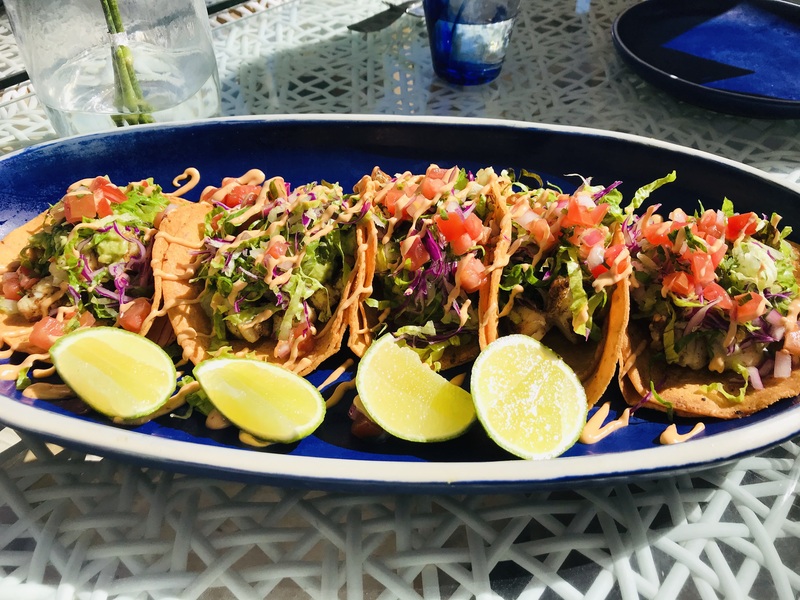 本場メキシカタコス